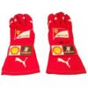 2014 Fernando Alonso gloves – Abu Dhabi GP – SpeedX Racegear product photo
