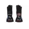 2023 Zhou Guanyu Replica Alfa Romeo F1 Race Gloves – SpeedX Racegear product photo
