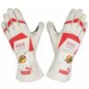2010 Fernando Alonso F1 Race Gloves – Japanese GP – SpeedX Racegear product photo