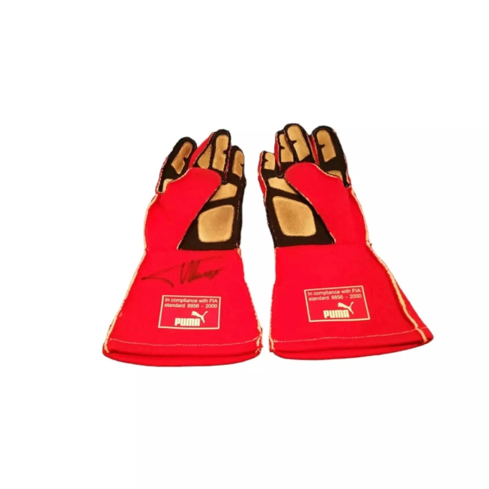 2014_Fernando_Alonso_gloves_-_Abu_Dhabi_GP-002.jpg