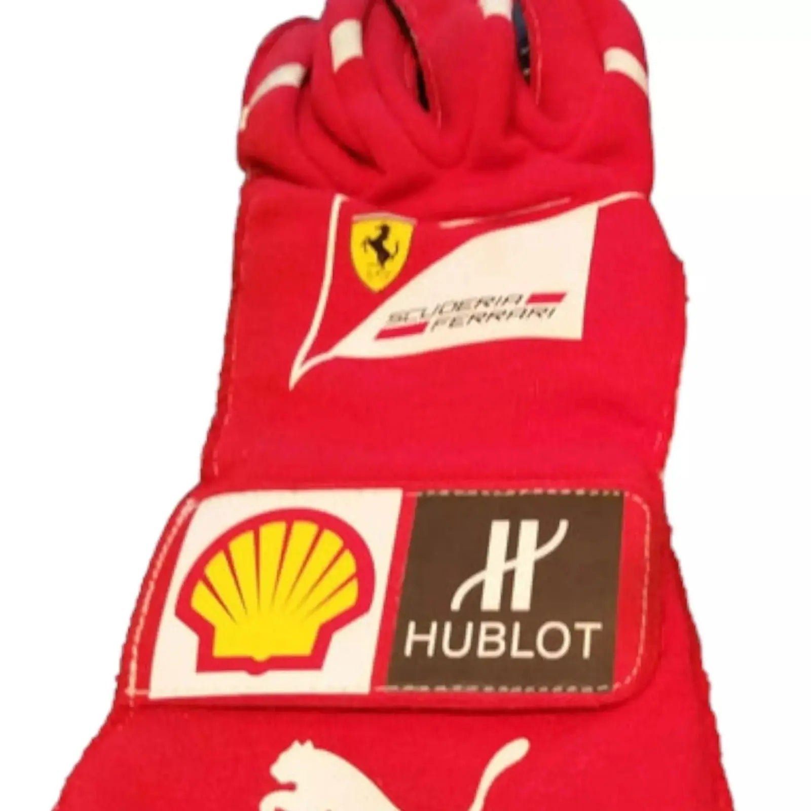 2014_Fernando_Alonso_gloves_-_Abu_Dhabi_GP-003.jpg