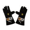 2018 Sebastian Vettel Ferrari F1 Racing Gloves – SpeedX Racegear product photo