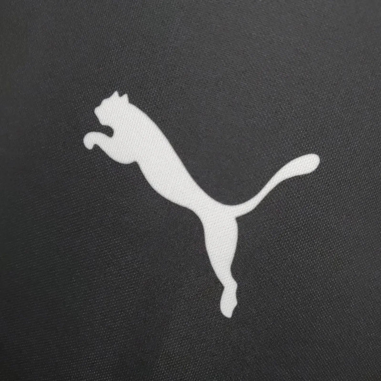 2021_Mercedes_Lewis_Hamilton_Formula_One_T-Shirt-008.jpg