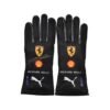 2022 CHARLES LECLERC FERRARI REPLICA F1 GLOVES – SpeedX Racegear product photo