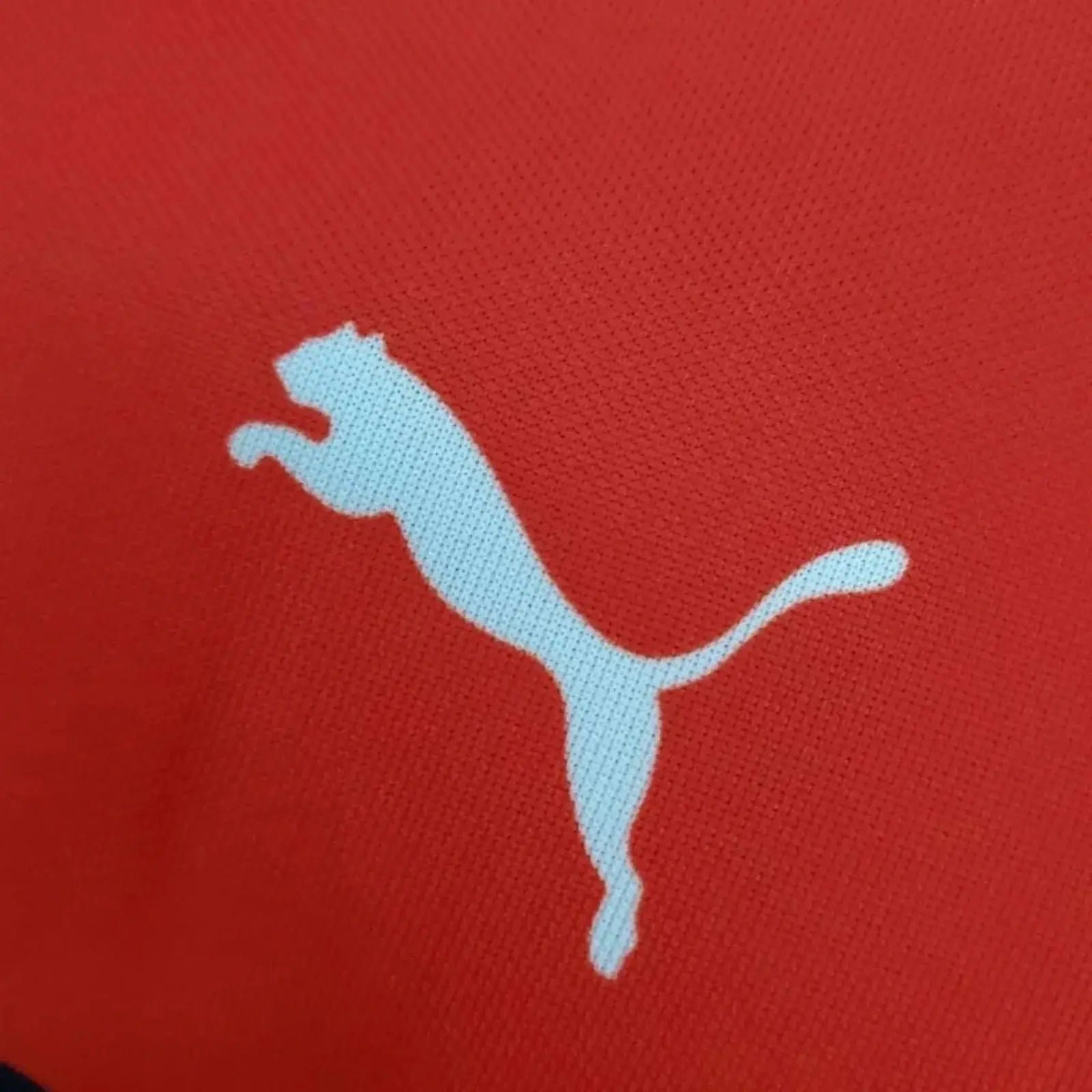 2022_New_Ferrari_Charles_Leclecr_F1_Racing_T-Shirt_-_Speedxcrafts-5169389.jpg