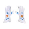 2025 Scuderia Ferrari F1 Team Monaco GP Gloves – SpeedX Racegear product photo